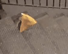 20 особенностей жизни в США, которые могут сбить с толку